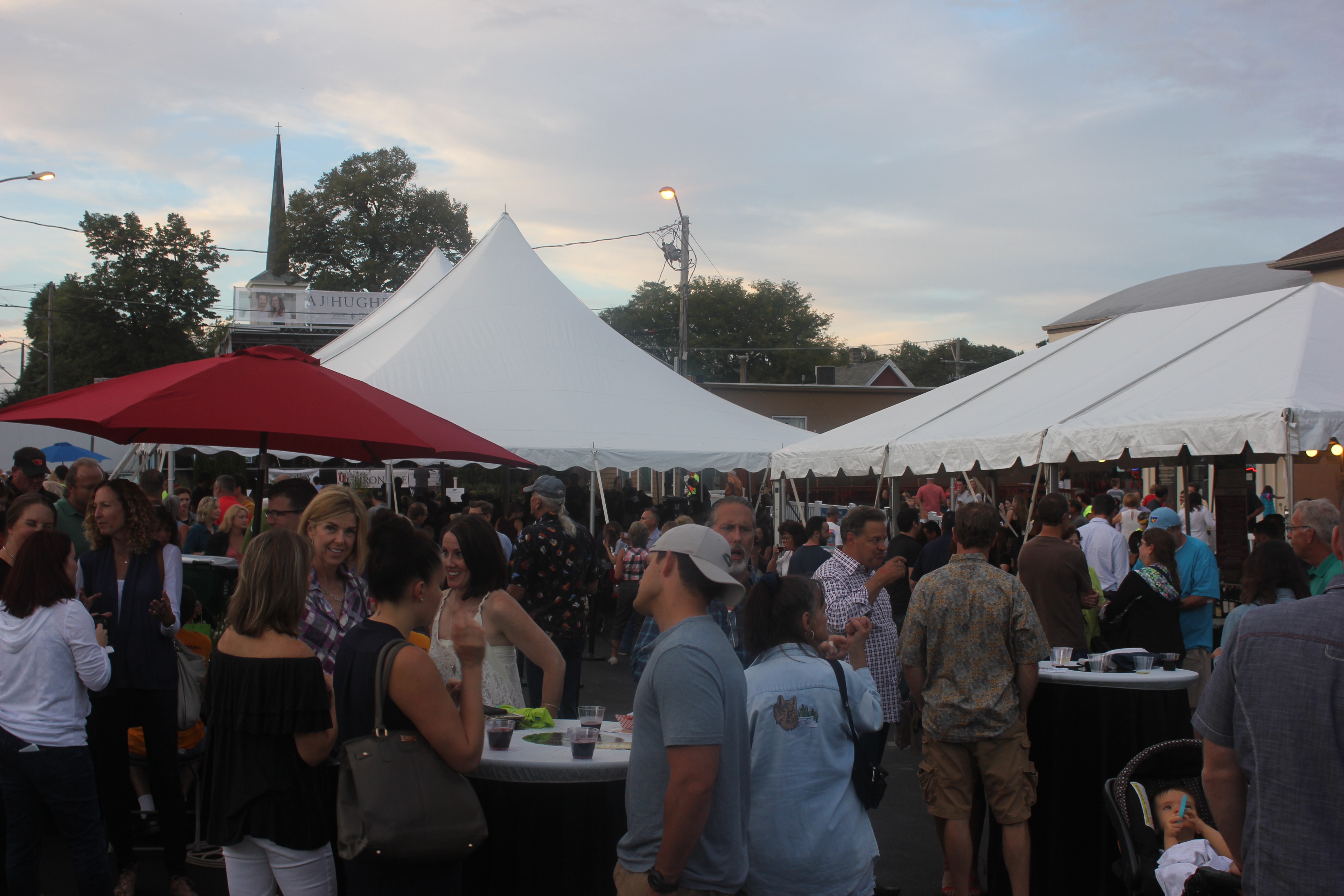 Festival of the Vine 2016 209